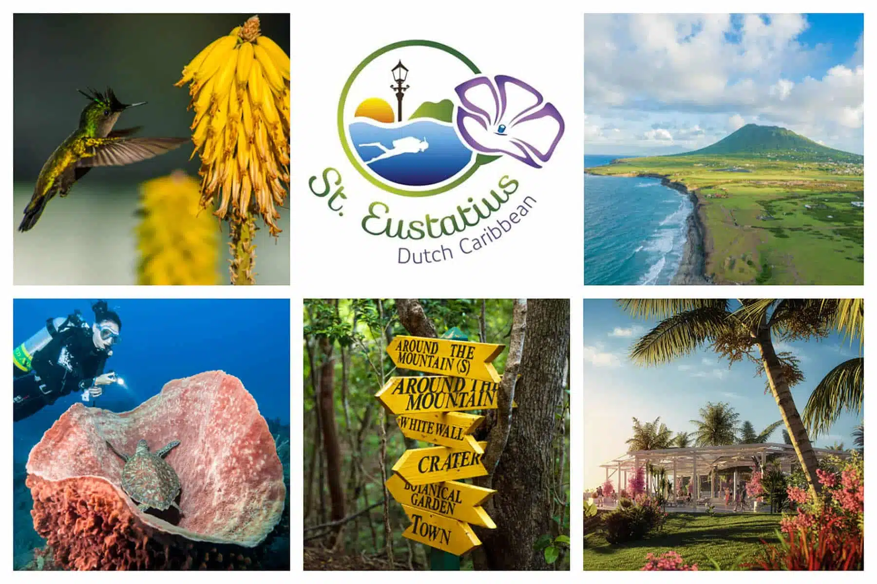 A Journey through the Enchanting Dutch Caribbean Island!